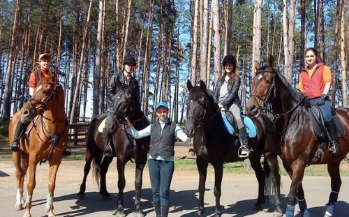 Коттеджный поселок &laquo;Павловы Родники&raquo;